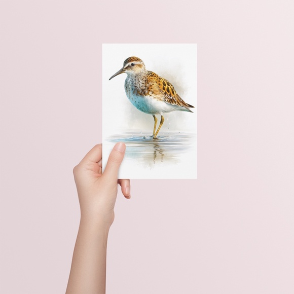 Watercolor Sandpiper Bird Portrait Wall Art Print, Unframed - Coastal Serenity - Picture 5 of 7